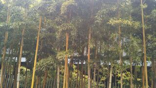 高評価の美術館