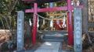 鳥居が並んでいました