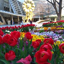 お花の親子