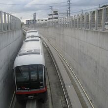 トンネルの上部からはこんなアングルで撮ることも出来ます
