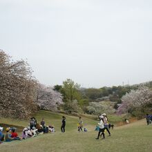 見える範囲はすべて公園敷地内です