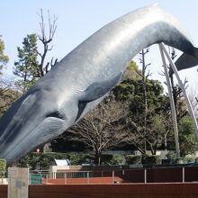 シロナガスクジラのオブジェが外にあります』by とらきのこ2