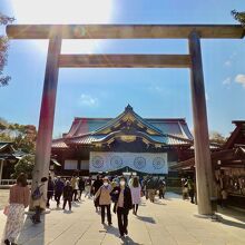 多くの人で賑わう