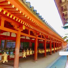 これぞ日本の美