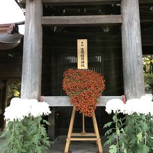 笠間稲荷から奉納されたハートの菊