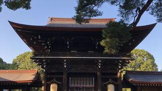 黄緑色が眩しい　