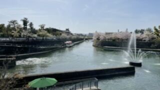 なかなかよいです