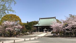 北条時宗の総本山