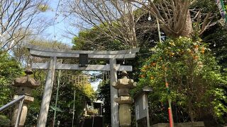 遊行寺のすぐ隣にある神社