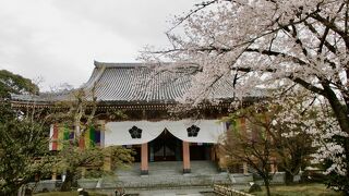 冬の特別公開に行ってきました