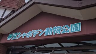 孔雀が自由に園内を散歩