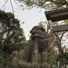 歴史を感じる狛犬