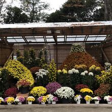 関心する作品ばかり