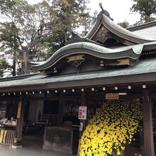 流れるような美しさ