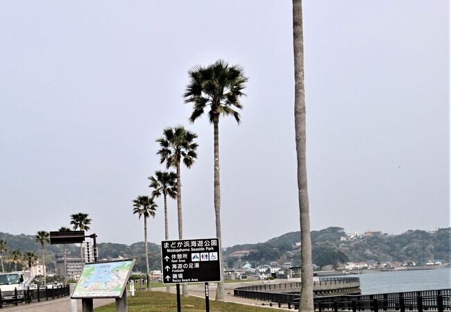 まどが浜海遊公園 クチコミ アクセス 営業時間 下田 フォートラベル
