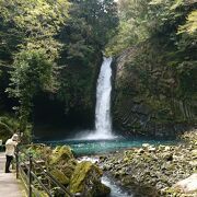 伊豆半島有数の観光名所の滝