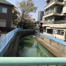 すごい緑の川