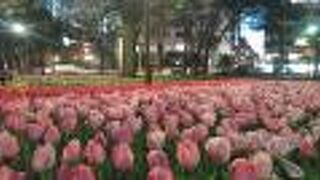 長く楽しめます