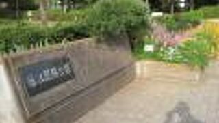 自然豊かな公園です