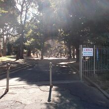 雑木林のエリアも残っています。