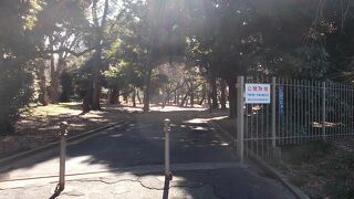 緑豊かなエリアです。