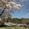 市ノ池公園