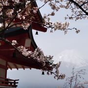 絶景富士山と五重塔