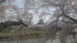 桜吹雪と清洲城