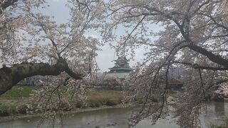桜吹雪と清洲城
