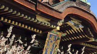 梅の季節に初めて参拝しました