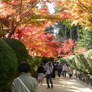 紅葉の名所