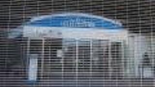 めずらしい楽器を見ることができます。