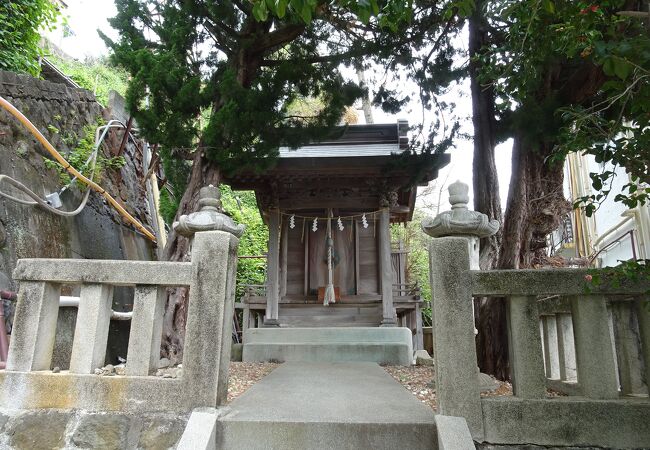 走り湯神社 クチコミ アクセス 営業時間 熱海 フォートラベル 走り湯神社 クチコミ アクセス 営業時間 熱海 フォートラベル