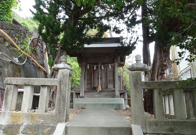 走り湯神社 クチコミ アクセス 営業時間 熱海 フォートラベル