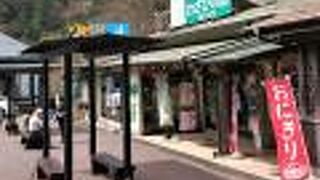 道の駅構内のわさび専門店