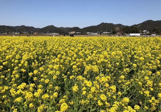 菜な畑ロード クチコミ アクセス 営業時間 鴨川 フォートラベル 菜な畑ロード クチコミ アクセス 営業時間 鴨川 フォートラベル