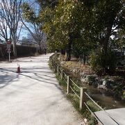 新宿御苑の北側にある散策路です。