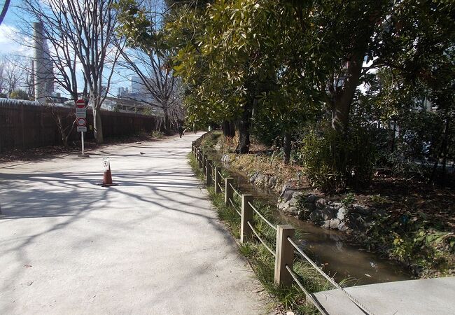 新宿御苑の北側にある散策路です。