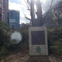 碑の様子です。