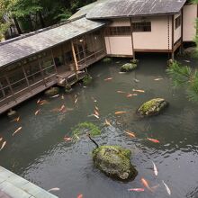 お部屋から中庭を望む