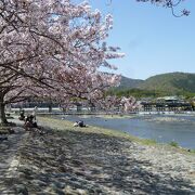 天気がいいので桜の色も映える