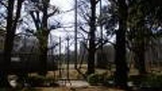 上野公園にある球場です