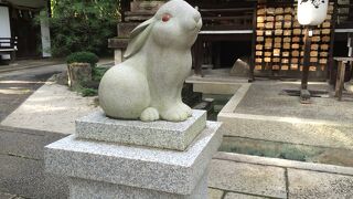 うさぎ