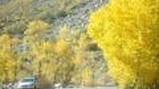 ジューン レイク