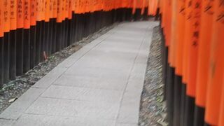 こんな空いてるときに来たことない