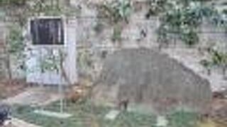 新宿の常園寺にあります。