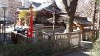 新宿中央公園内にあります。