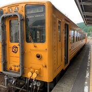 窪川駅で偶然、しまんトロッコに遭遇しました!