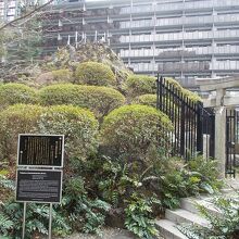 全体の様子です。