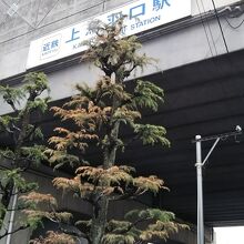 上鳥羽口駅